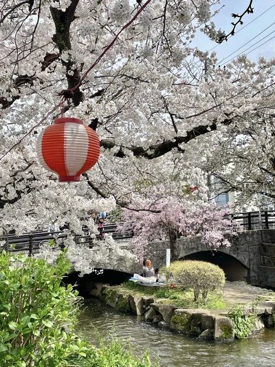 🏛️ 일본 민가원(니혼 민카엔) 이미지 4